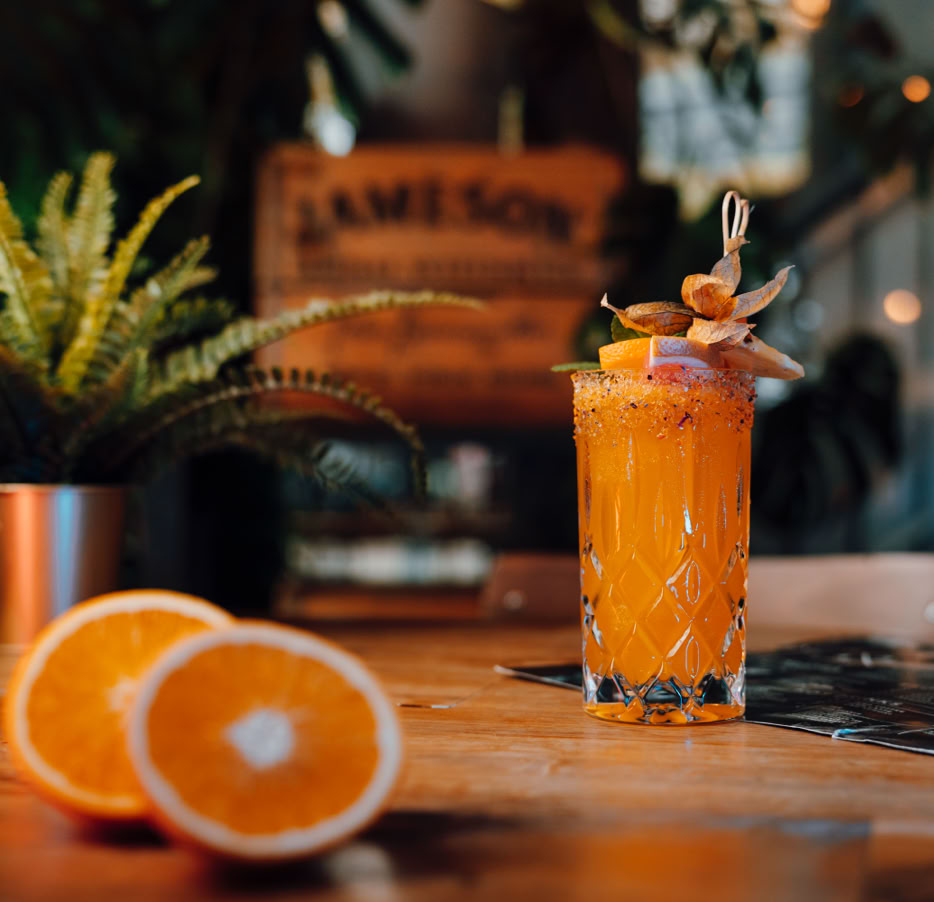 das Bild zeigt das Schloss Moritzburg